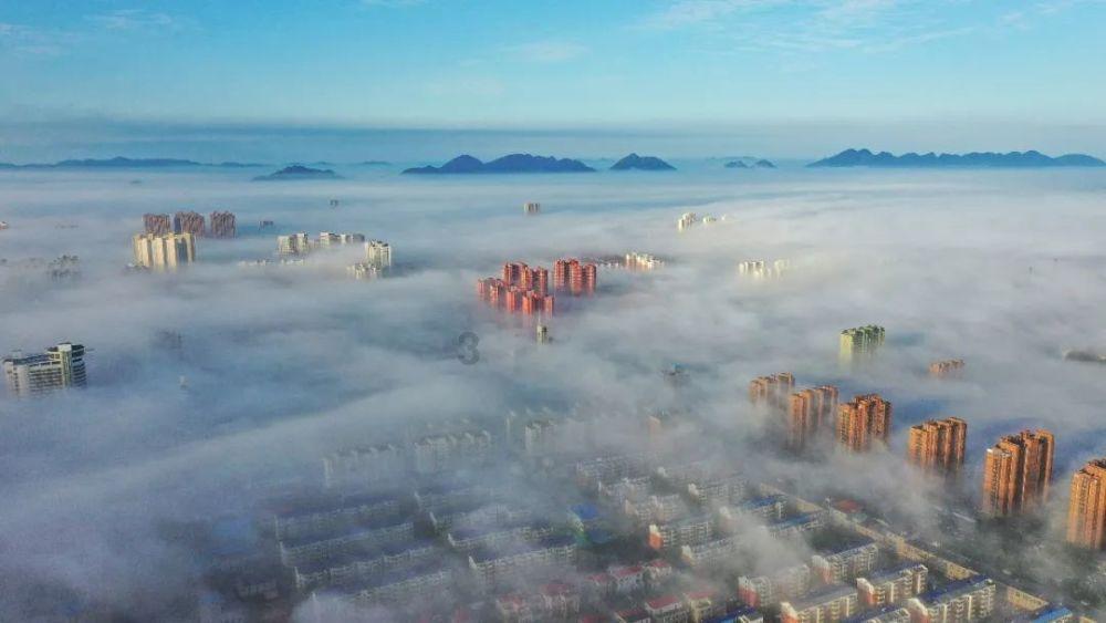 救援白虎
