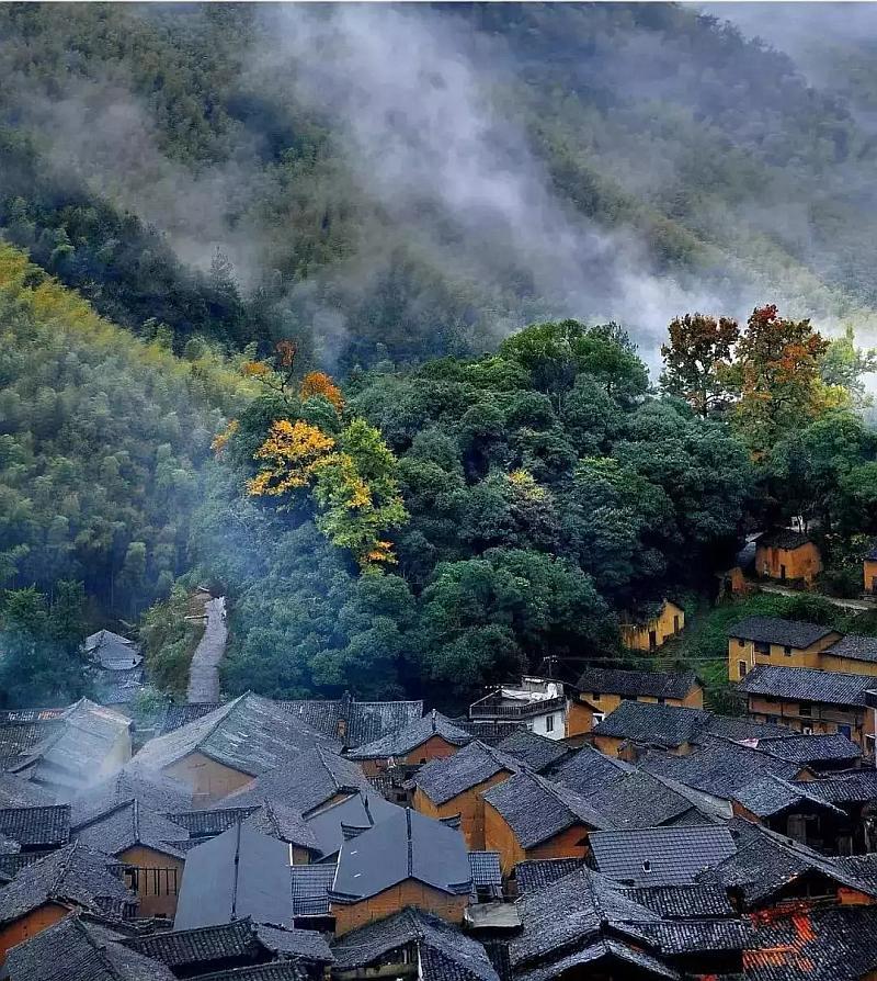 迷路的老奶奶