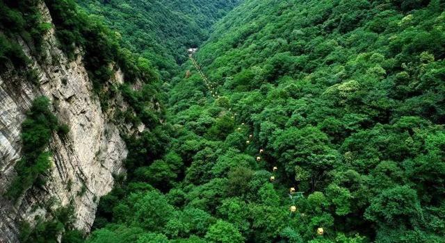 蔡浩:车险业务“风险减量”不能唯设备论