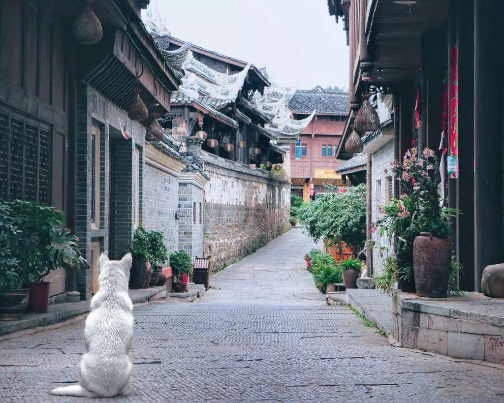 守望先锋电竞